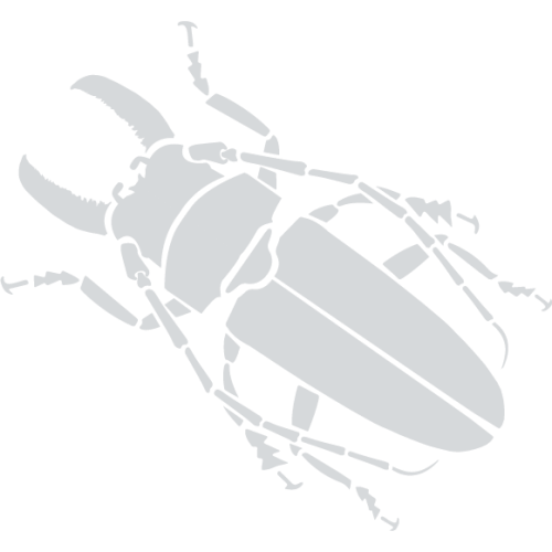Beetles